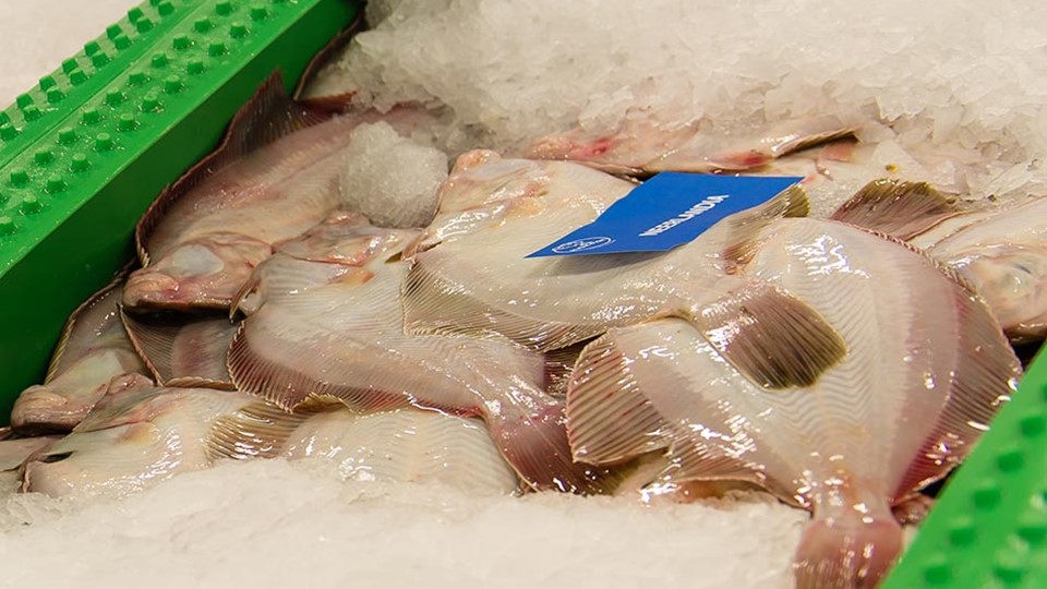 Foodclusterthy Fisk01